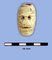 Artefact: Human Face on Shell. Material: Olive Shell. Age: *Ceramic Age 200AD/500AD *Ceramic Age dates vary thoughout the Area.These dates are specific to Antigua.