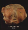 Artefact: Human Face from a Clay Vessel. Material: Clay. Age: *Ceramic Age 200AD/500AD *Ceramic Age dates vary thoughout the Area.These dates are specific to Antigua.