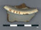 Artefact: Marked China/Markings of Ownership. Material: . Age: British Military Historical Period (1795AD-1850AD)